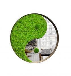 Spiegel Yin-Yang mit Islandmoos und Kugelmoos