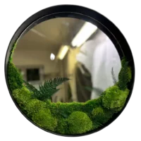 Runde Spiegel mit Kugelmoos Flachmoos und Farn