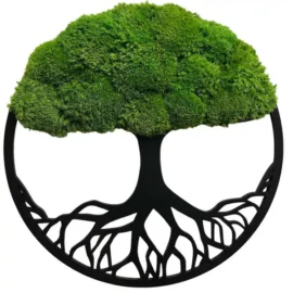 Moosbaum mit Kugelmoos. Baum des Lebens