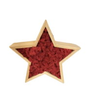 Weihnachtsstern aus Holz und Islandmoos