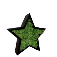 Weihnachtsstern aus Holz und Islandmoos