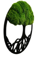 Moosbaum mit Kugelmoos. Baum des Lebens
