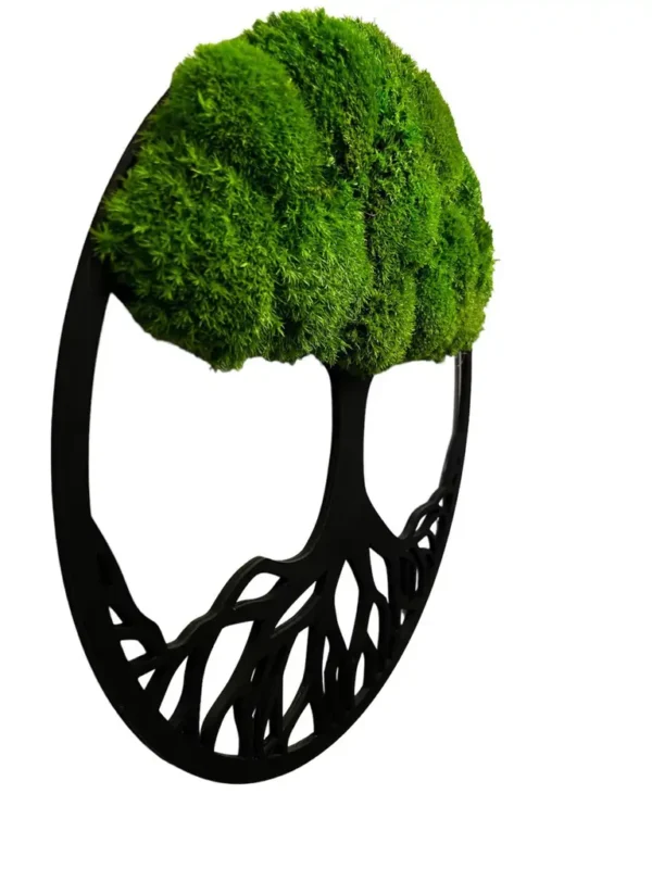 Moosbaum mit Kugelmoos. Baum des Lebens