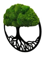 Moosbaum mit Kugelmoos. Baum des Lebens