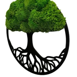 Moosbaum mit Kugelmoos. Baum des Lebens