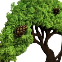 Moosbild 100 x 100 cm 29 Moosbaum mit Islandmoos. Baum des Lebens