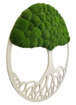 Moosbaum mit Kugelmoos. Baum des Lebens