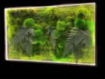 Moosbild mit Kugelmoos Siberian Moos Farn und LED Beleuchtung | Moosbild Beleuchtet