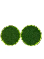 Runde Moosbild mit Islandmoos und Beleuchtung