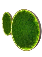 Runde Moosbild mit Islandmoos und Beleuchtung