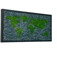 Moosbild Weltkarte aus Islandmoos in Rahmen