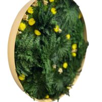 Runde Moosbild aus Rose von Jericho und Blumen