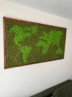 Moosbild Weltkarte aus Islandmoos in Rahmen