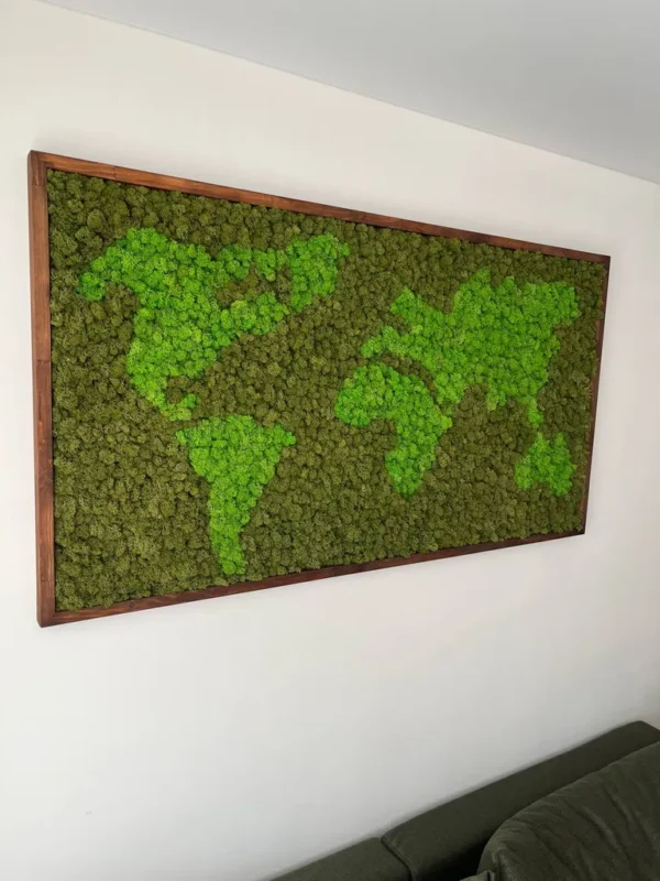 Moosbild Weltkarte aus Islandmoos in Rahmen