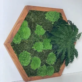 Moosbild Hexagon mit Moos und Pflanzen - MoosHexagon