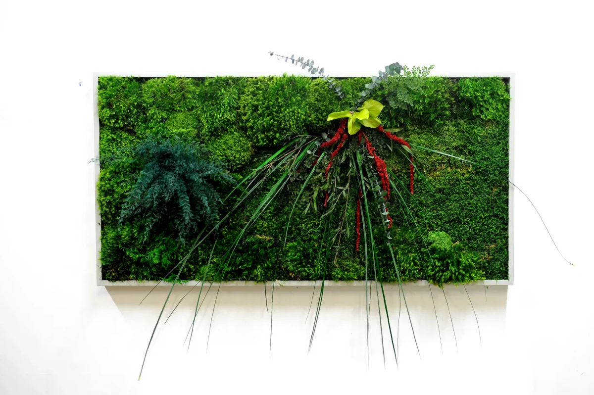 Moosbild mit Pflanzen