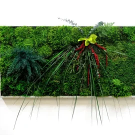 Moosbild mit Pflanzen