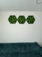 Moosbild Hexagon mit Islandmoos