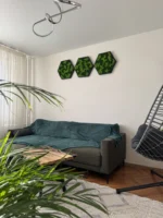 Moosbild Hexagon mit Islandmoos