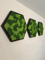 Moosbild Hexagon mit Islandmoos