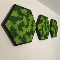 Moosbild Hexagon mit Islandmoos