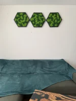 Moosbild Hexagon mit Islandmoos