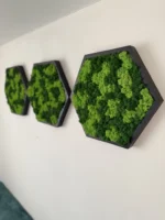 Moosbild Hexagon mit Islandmoos