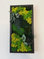 Satz von Moosbildern an der Wand Größe 25*50cm