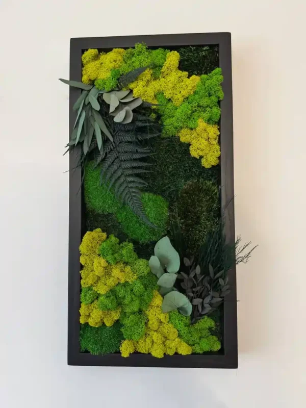 Satz von Moosbildern an der Wand Größe 25*50cm