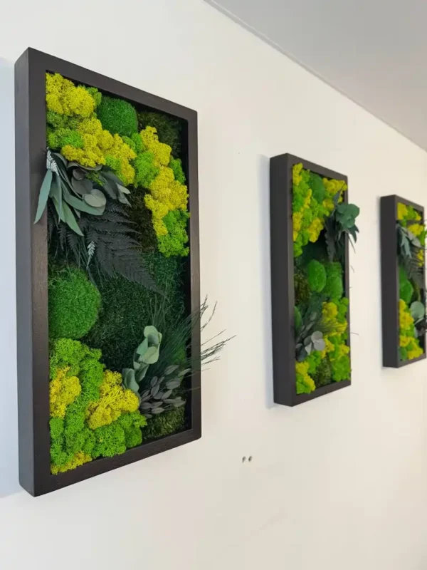 Satz von Moosbildern an der Wand Größe 25*50cm