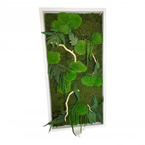 Moosbild mit Pflanzen Treibholz und LED Beleuchtung