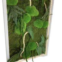 Moosbild mit Pflanzen Treibholz und LED Beleuchtung