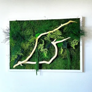 Moosbild mit Treibholz und Pflanzen