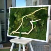 Moosbild mit Treibholz und Pflanzen - Moosbilder mit Holz