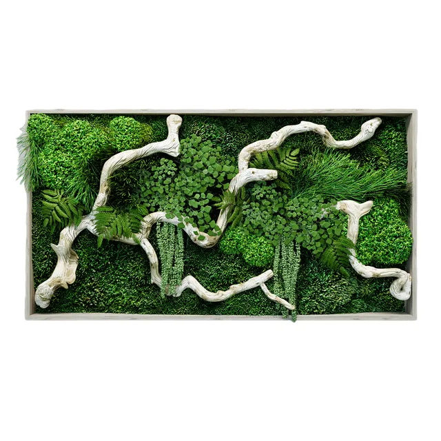 Moosbild mit Treibholz und Pflanzen