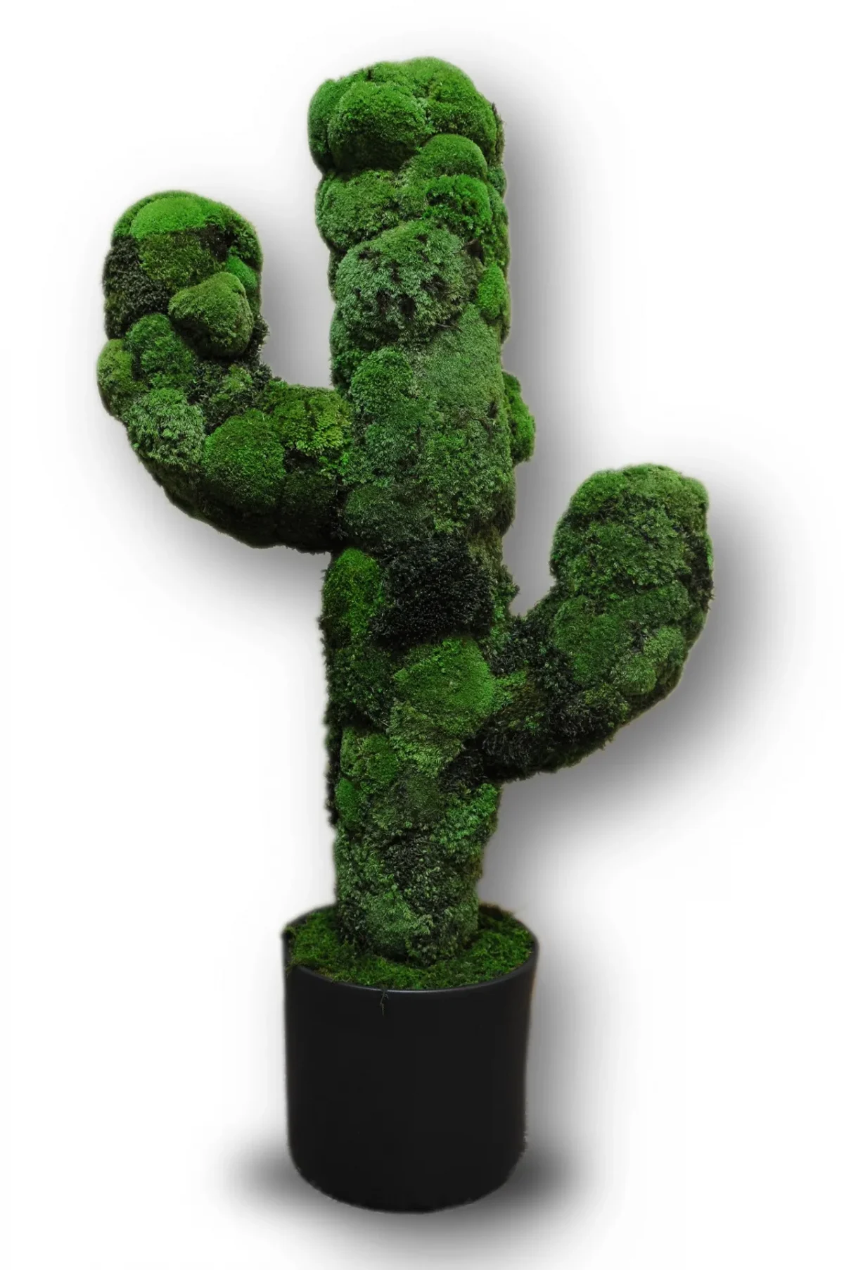Deko Kaktus aus Kugelmoos im Keramiktopf