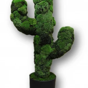 Deko Kaktus aus Kugelmoos im Keramiktopf