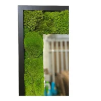 Spiegel in Rahmen mit Moos