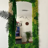 Spiegel mit Islandmoos und Pflanzen