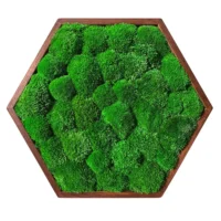 Ein exklusives Ekomoss Moosbild Hexagon mit Kugelmoos in einem dunkelbraunen Rahmen. Der tiefe Braunton der Fassung bildet einen harmonischen Kontrast zum satten Grün des konservierten Mooses.