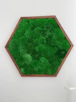 Moosbild Hexagon mit Kugelmoos