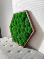 Moosbild Hexagon mit Kugelmoos