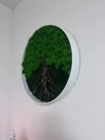 Runde Moosbild - Moosbaum | Baum aus Moos