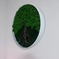 Runde Moosbild - Moosbaum | Baum aus Moos