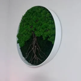 Runde Moosbild - Moosbaum | Baum aus Moos