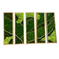 Set Moosbilder aus Moos und Treibholz