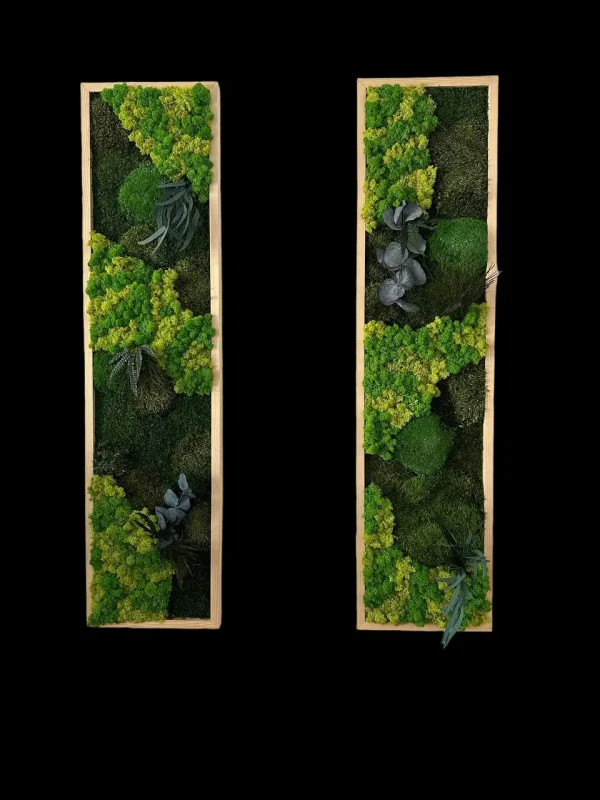 Set Moosbild aus Pflanzen Remix | Moos Bildset