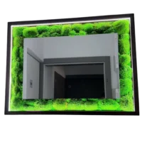 Moos Spiegel mit Holzrahmen und Beleuchtung Moos Spiegel mit Beleuchtung | Badspiegel mit Licht