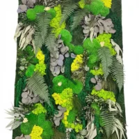 Pflanzen Wandpaneele - Moospaneel mit Pflanzen