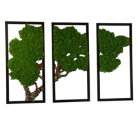 Moosbild 3er Set - Moosbaum mit Islandmoos und Korkholz